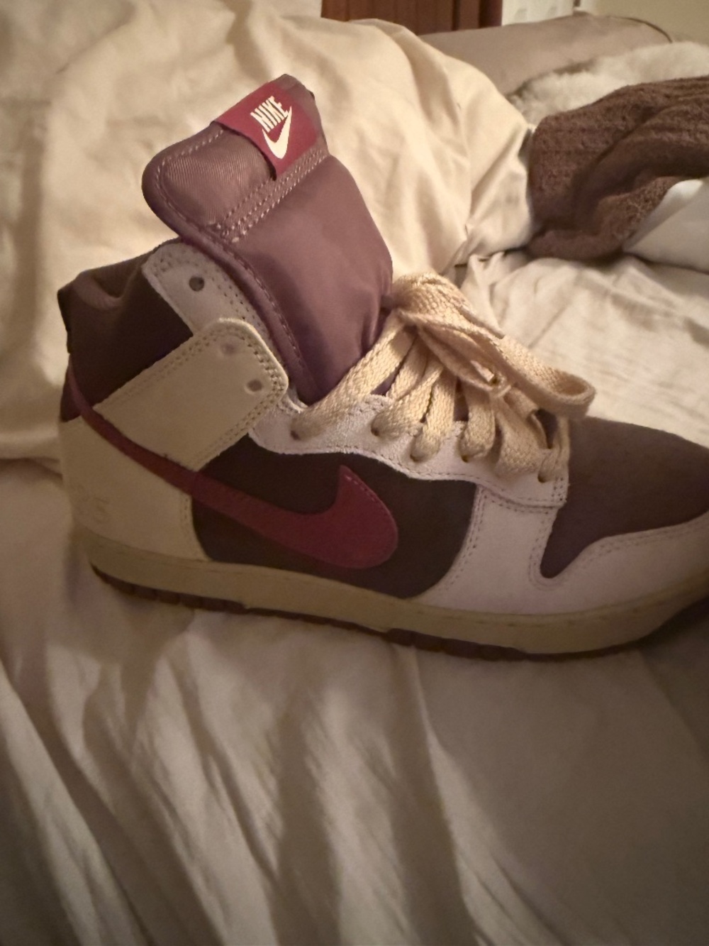 Brand new Nikes dunks